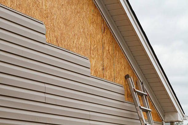 Professional Wood Siding technician working in Maple Plain, MN